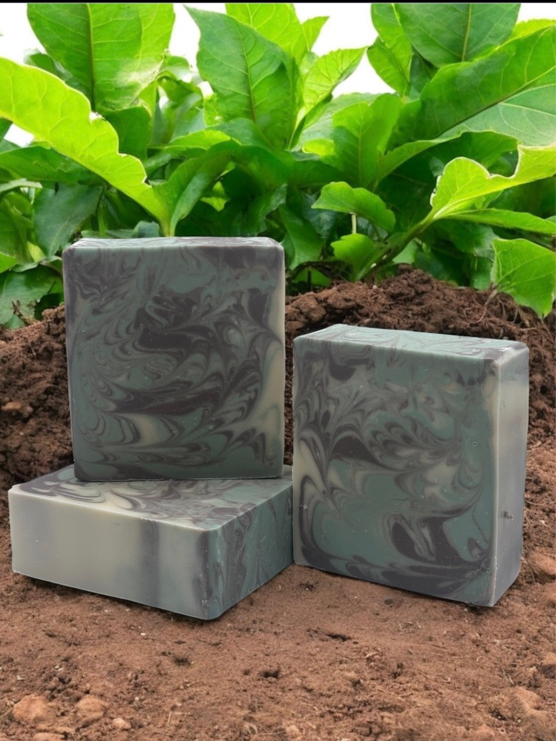 Tobacco & bay Leaf